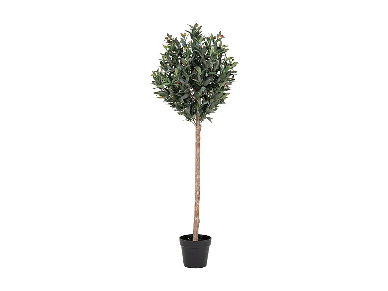 Plante Artificielle Olive, Vert, 58x58x150 cm, EPIKASA