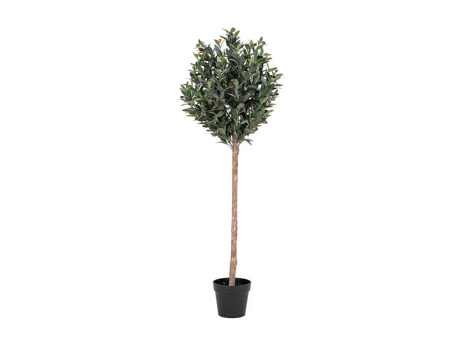 Plante Artificielle Olivier, Vert, 58x58x150 cm, Seven Design