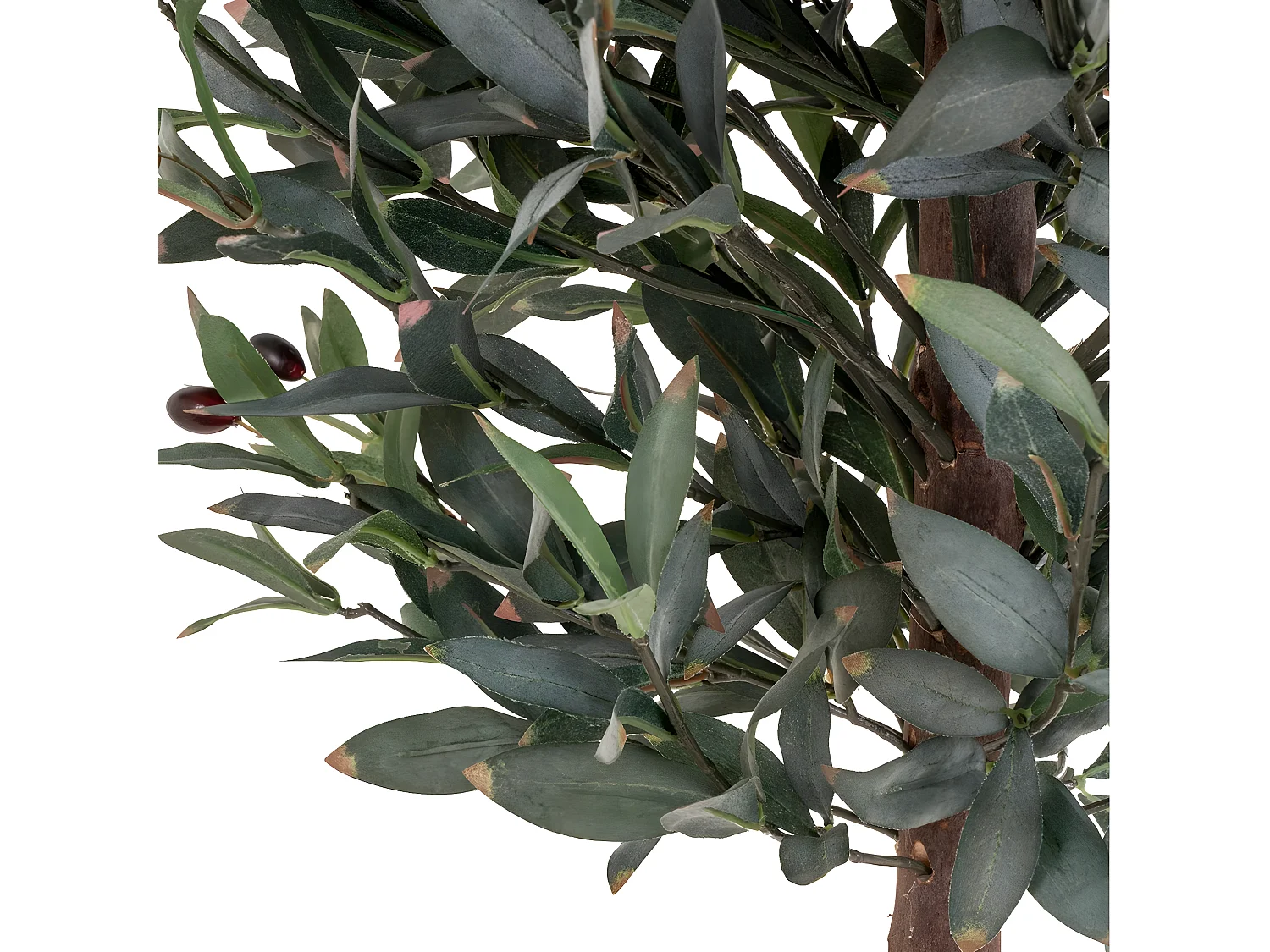 Plante Artificielle Olivier, Vert, 58x58x150 cm, Seven Design