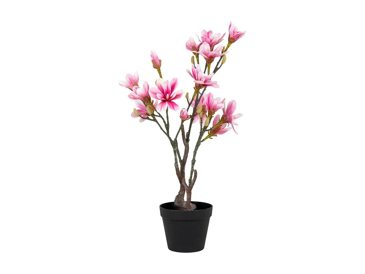 Plante Artificielle Magnolia, Rose, 30x40x74 cm, Seven Design