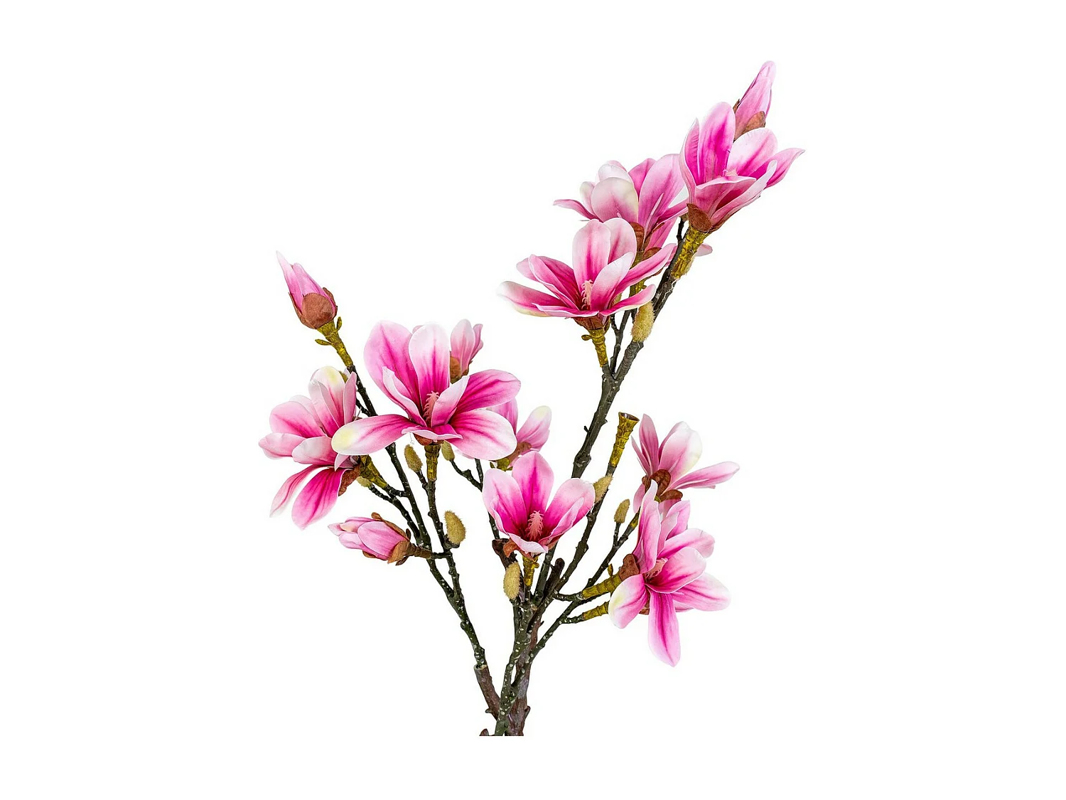 Plante Artificielle Magnolia, Rose, 30x40x74 cm, Seven Design