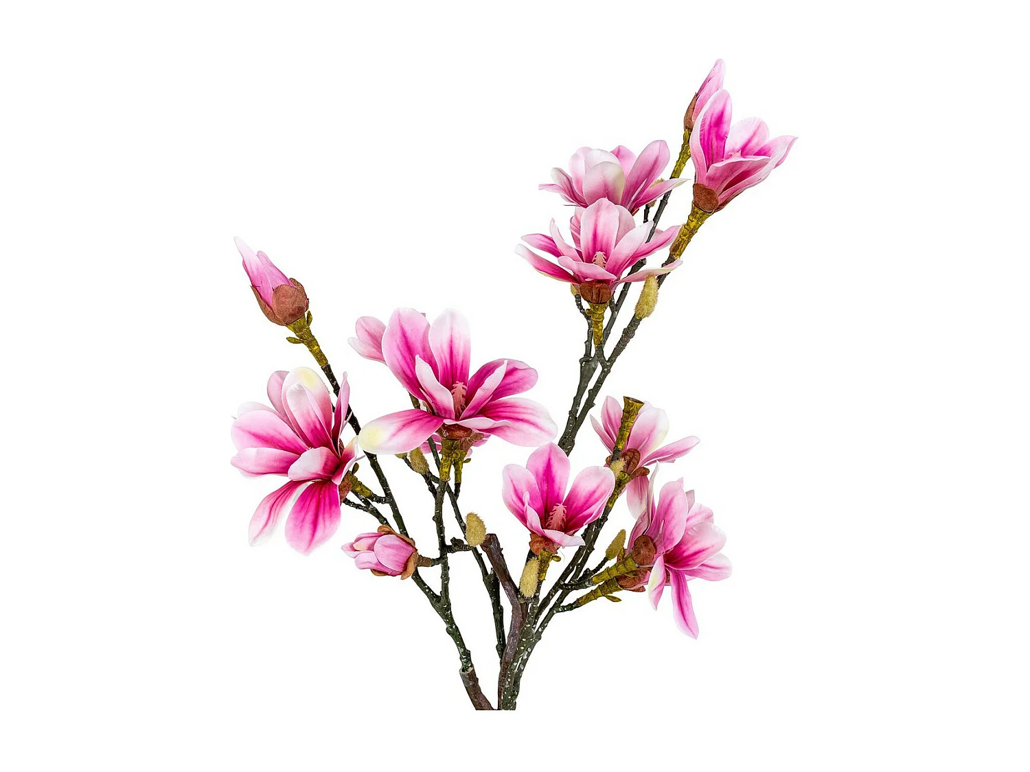 Plante Artificielle Magnolia, Rose, 30x40x74 cm, Seven Design