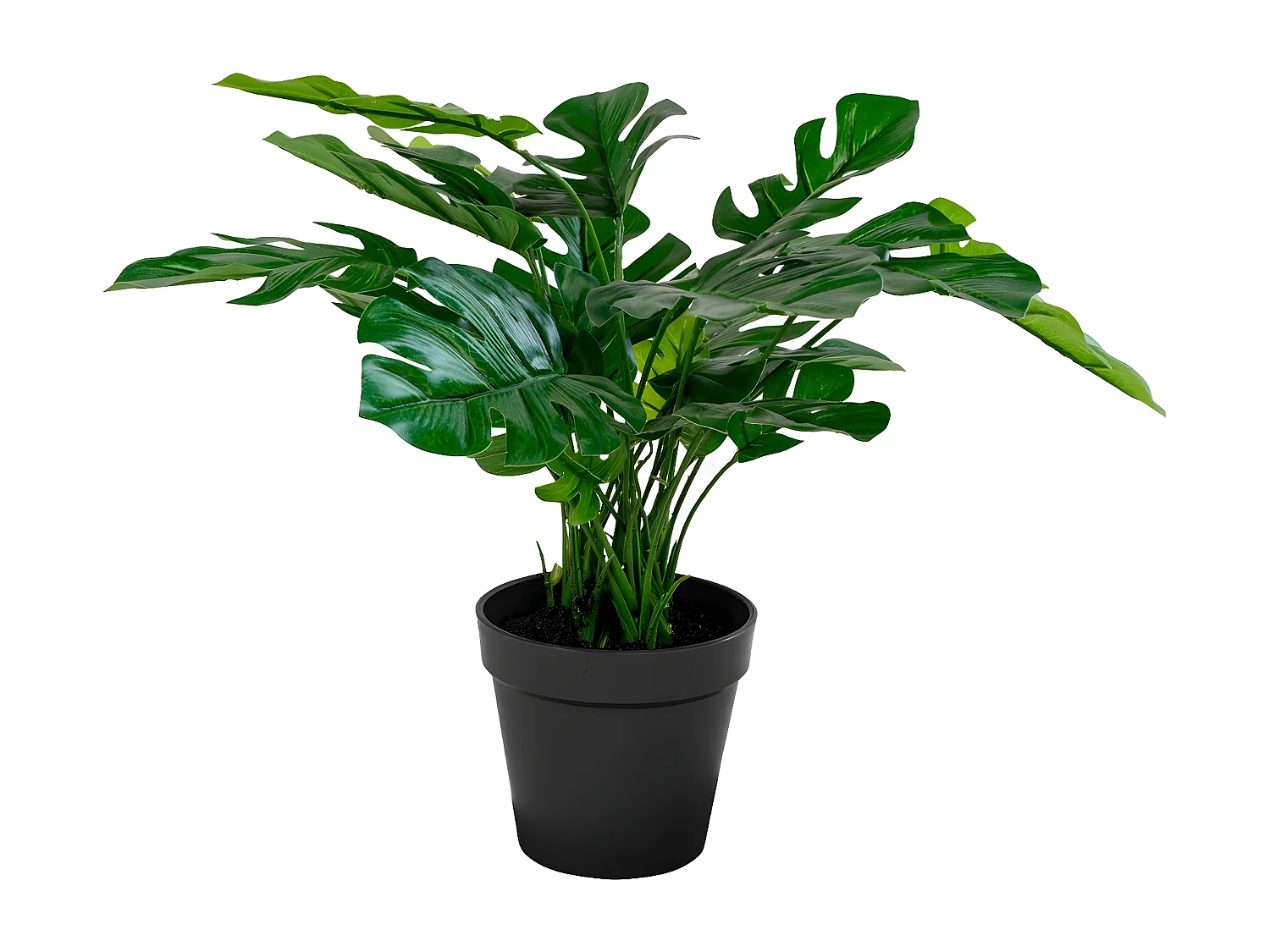 Plante Artificielle Monstera, Vert, 40x40x45 cm, EPIKASA