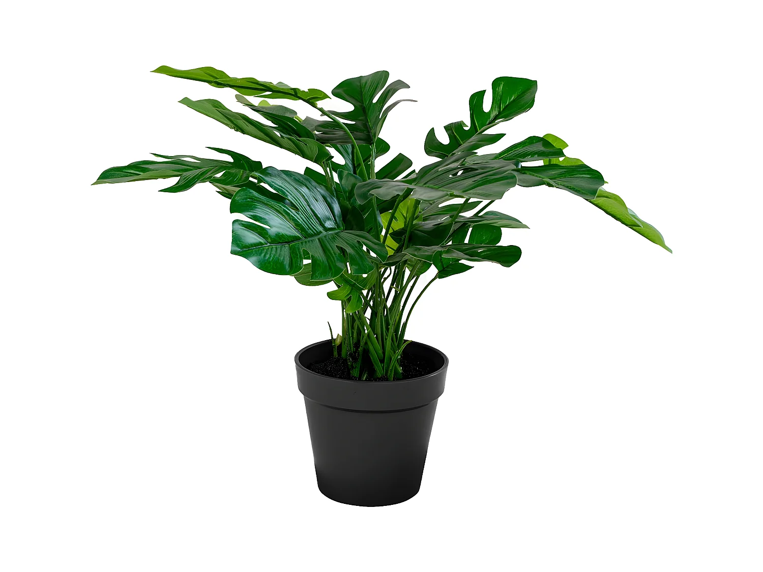 Plante Artificielle Monstera, Vert, 40x40x45 cm, EPIKASA