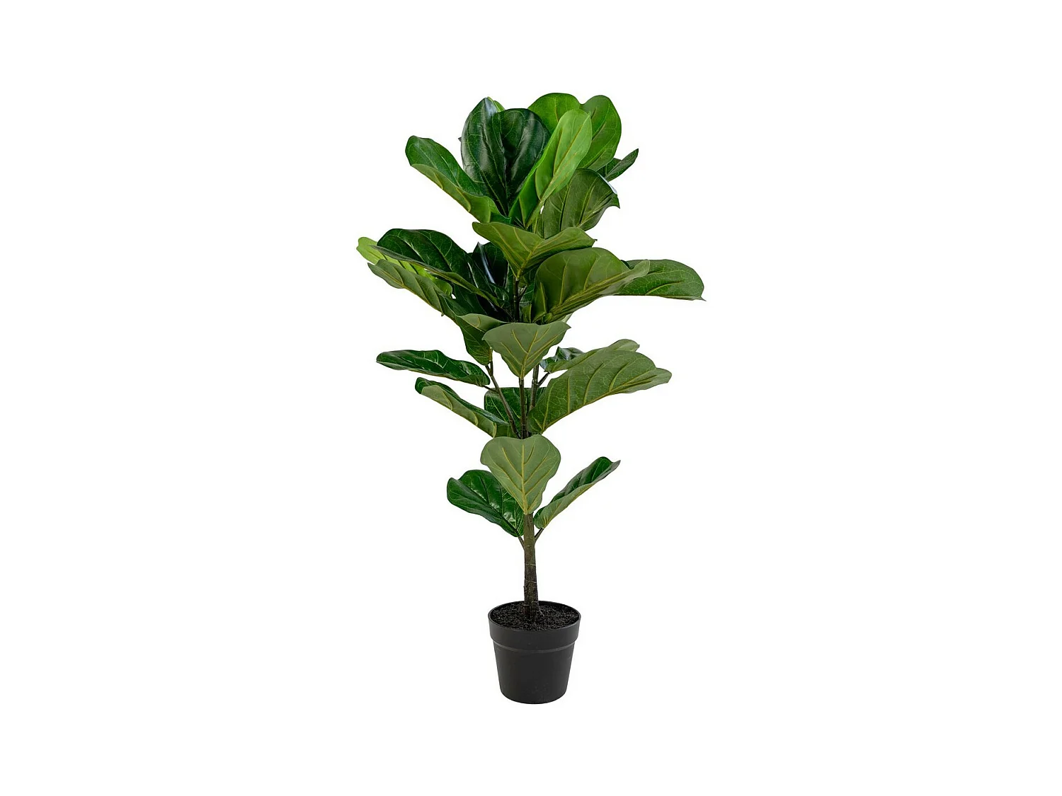 Plante Artificielle Fiddle, Vert, 36x46x100 cm, EPIKASA