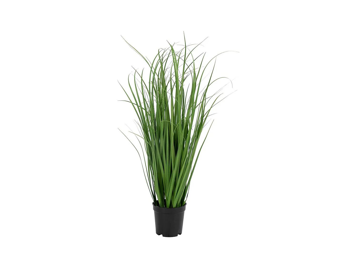 Plante Artificielle Poa, Vert, 30x30x68 cm, EPIKASA