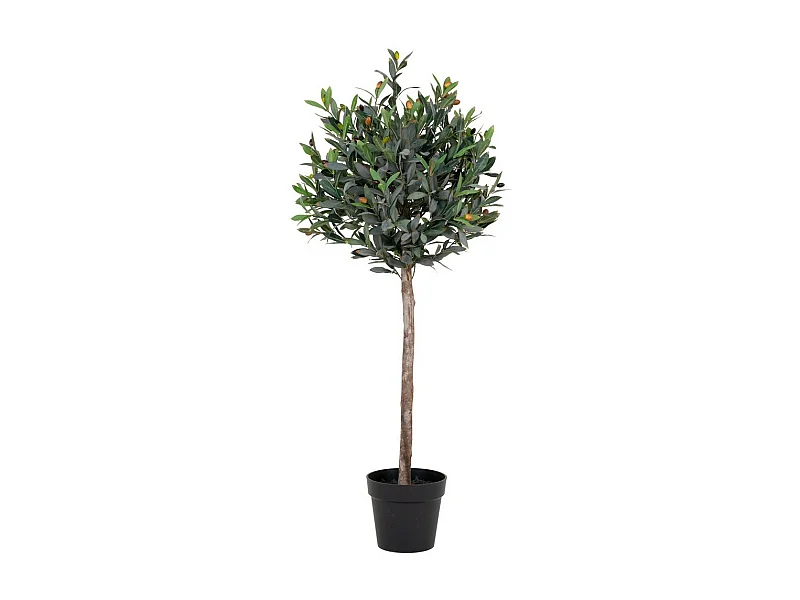 Plante Artificielle Olive, Vert, 43x47x120 cm, EPIKASA