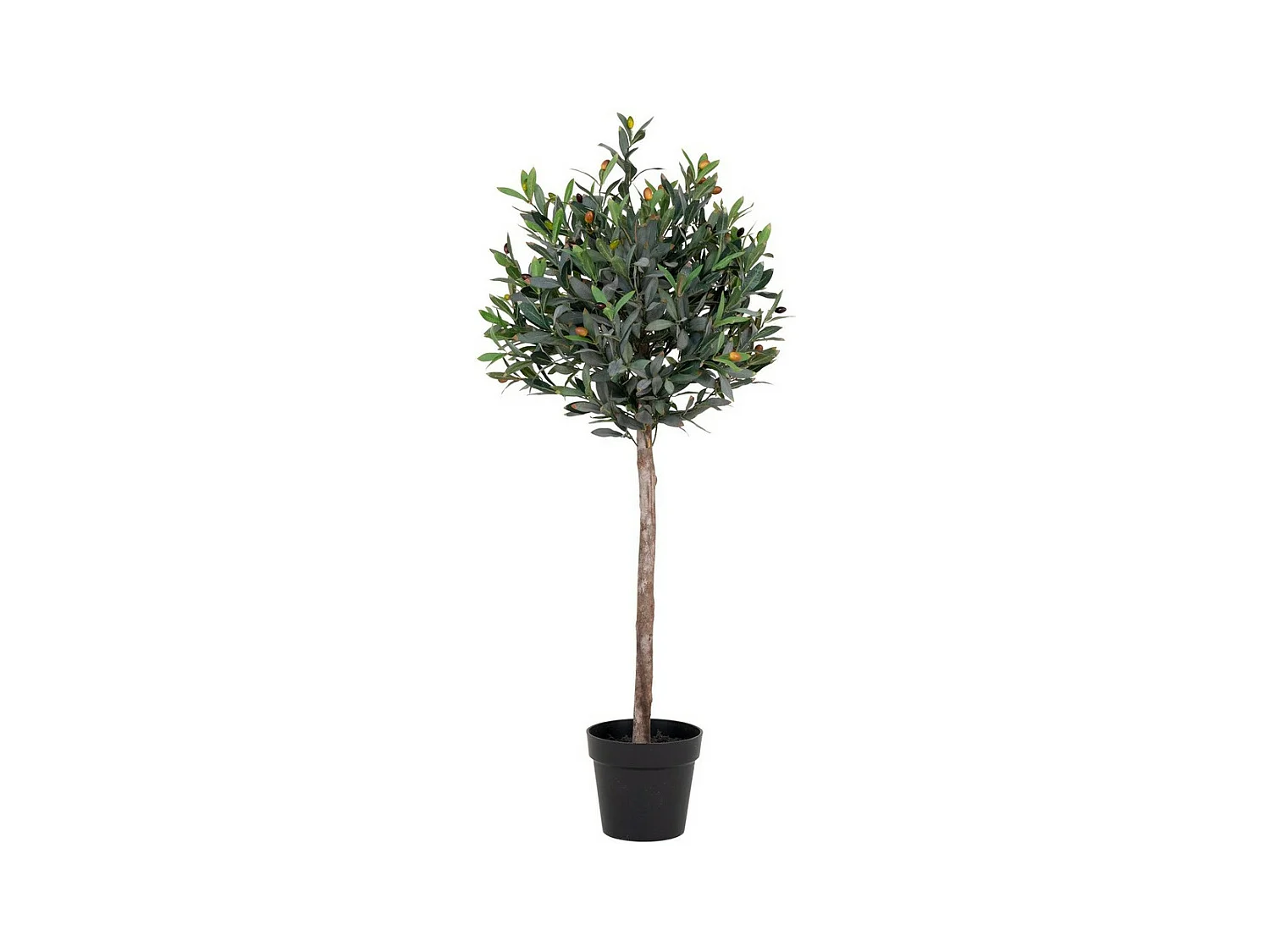 Plante Artificielle Olive, Vert, 43x47x120 cm, EPIKASA
