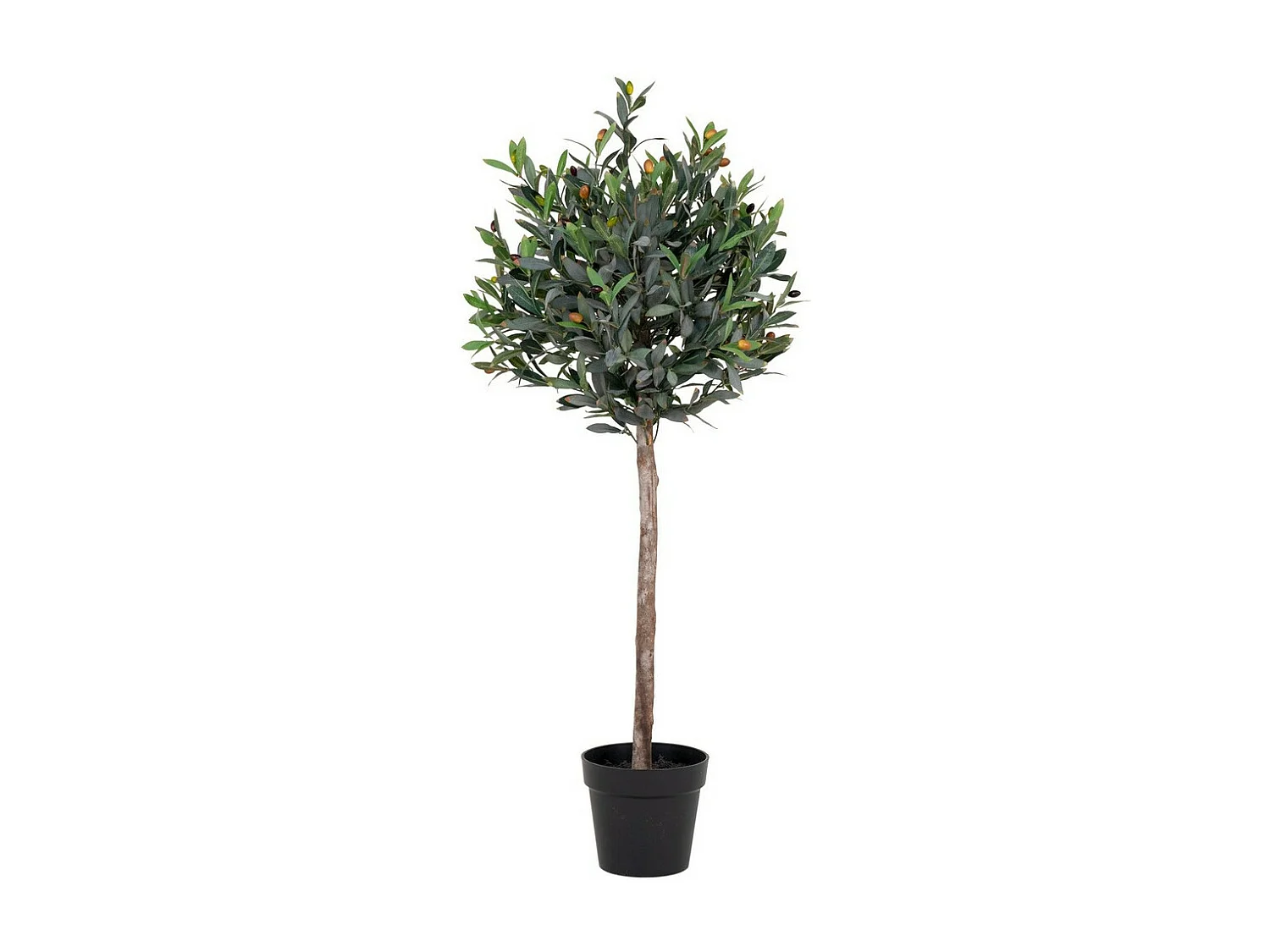 Plante Artificielle Olivier, Vert, 43x47x120 cm, Seven Design