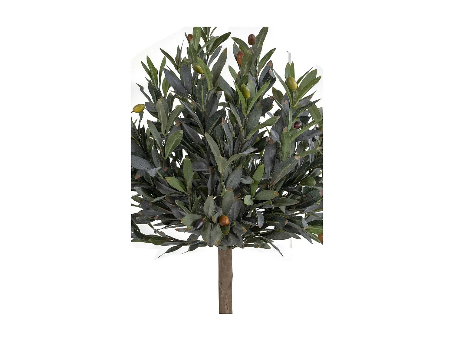 Plante Artificielle Olivier, Vert, 43x47x120 cm, Seven Design