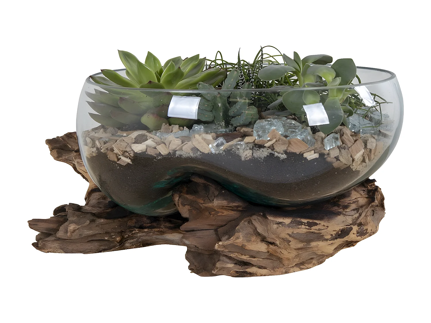 Terrarium San, Marron, 26x26x20 cm, EPIKASA