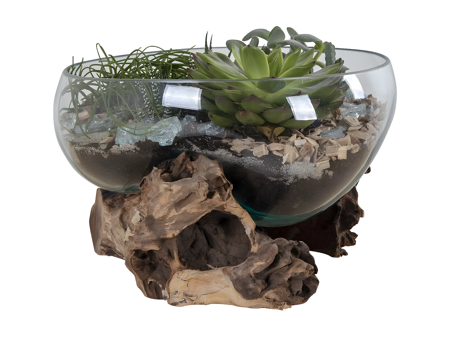 Terrarium San, Marron, 26x26x20 cm, EPIKASA
