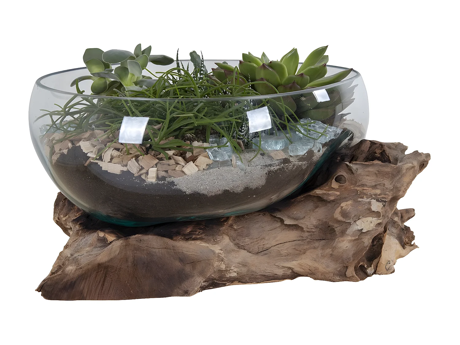 Terrarium San, Marron, 26x26x20 cm, EPIKASA