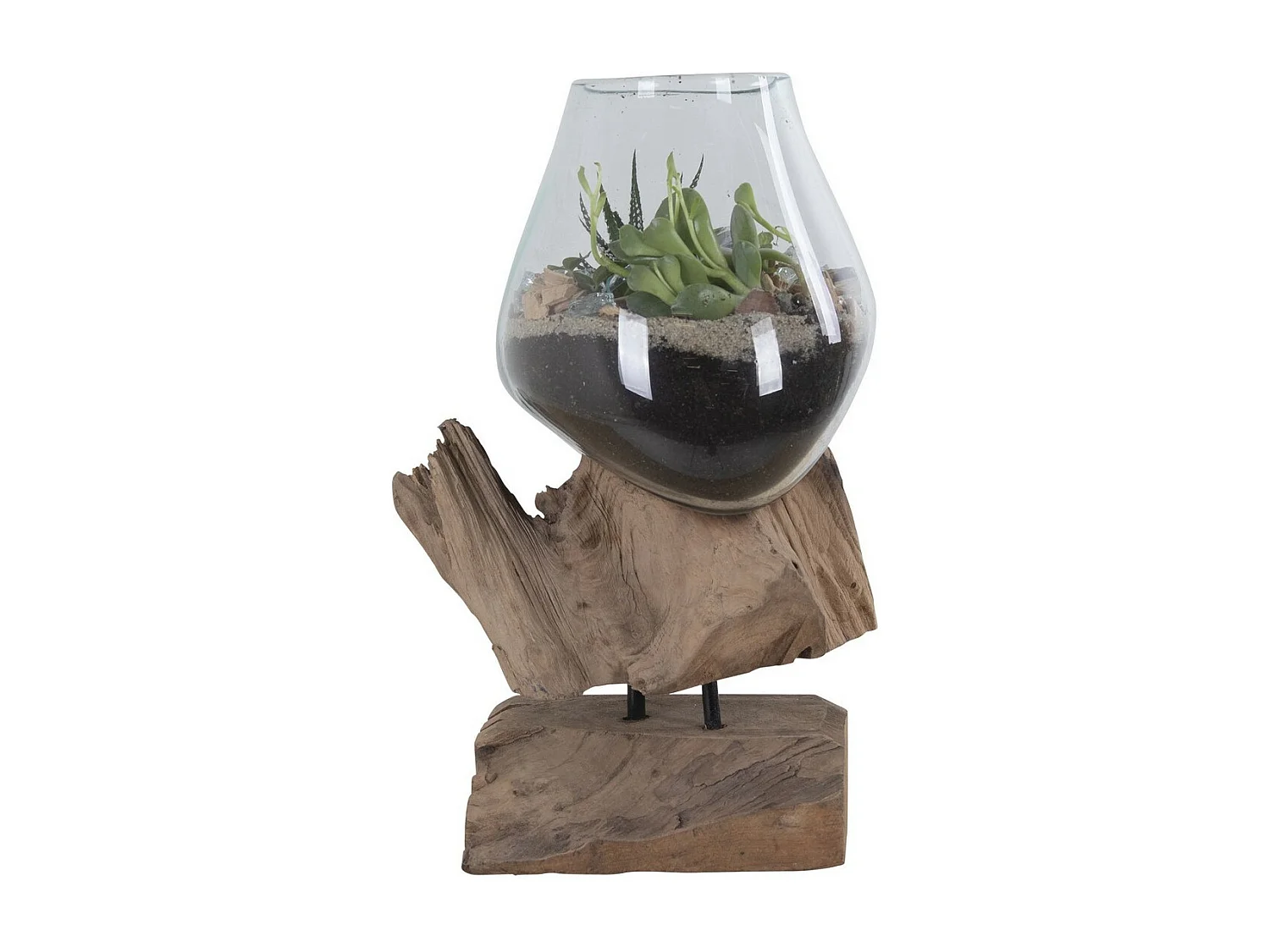 Terrarium San, Marron, 15x18x25 cm, EPIKASA