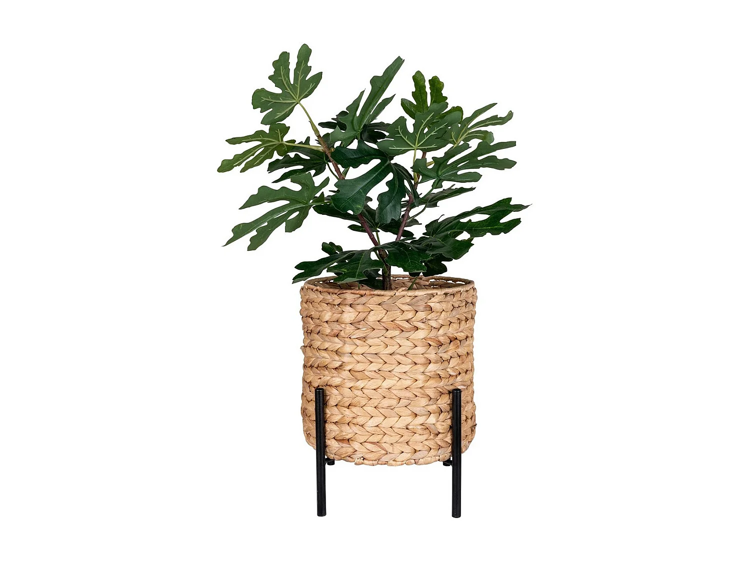 Plantenvaas Antas, Bruin, 24x23,5x28 cm, Epikasa