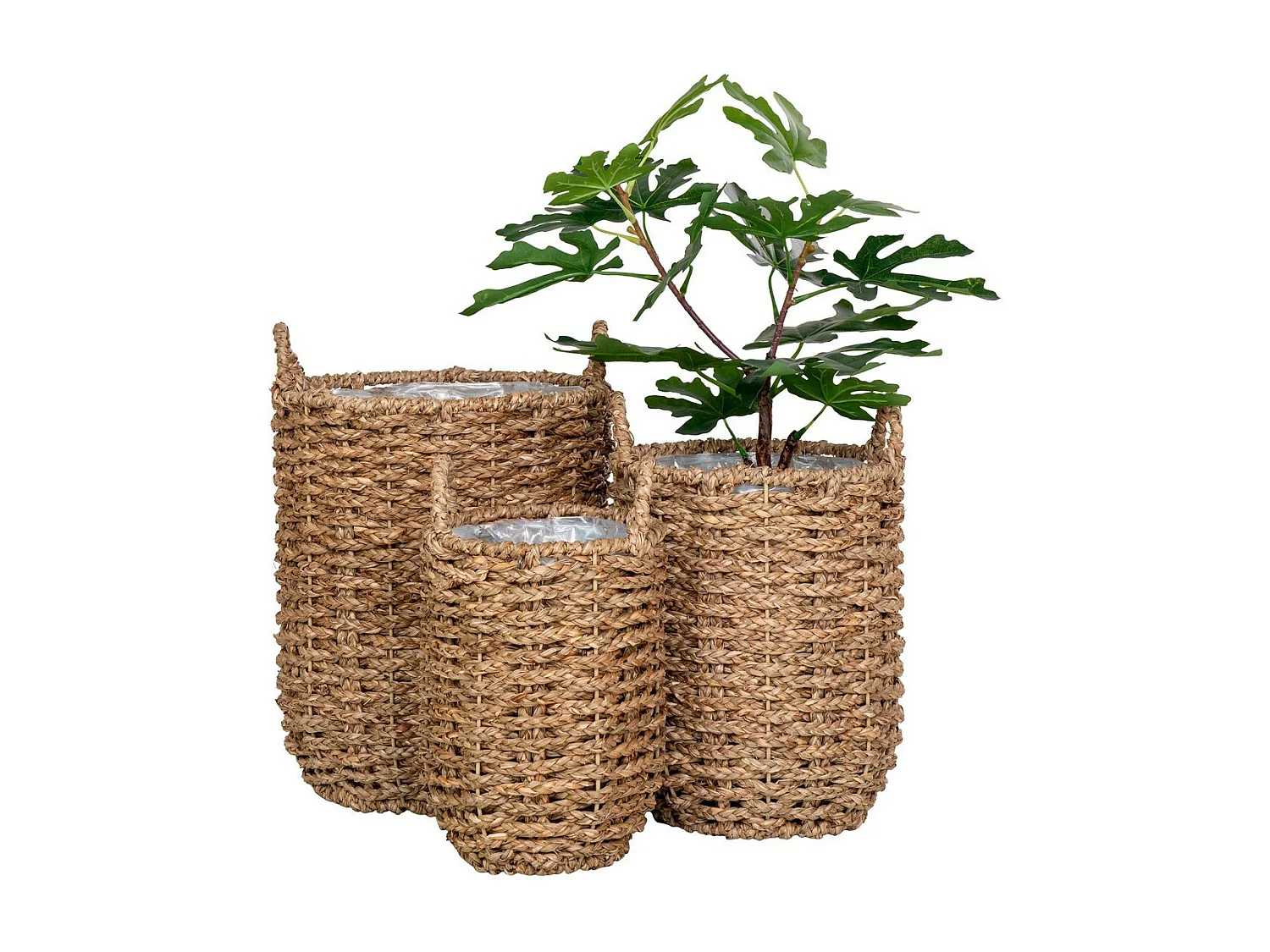 Lot de 3 Paniers Décoratifs de Rangement  Hue, Marron, 49x31x37 cm, EPIKASA