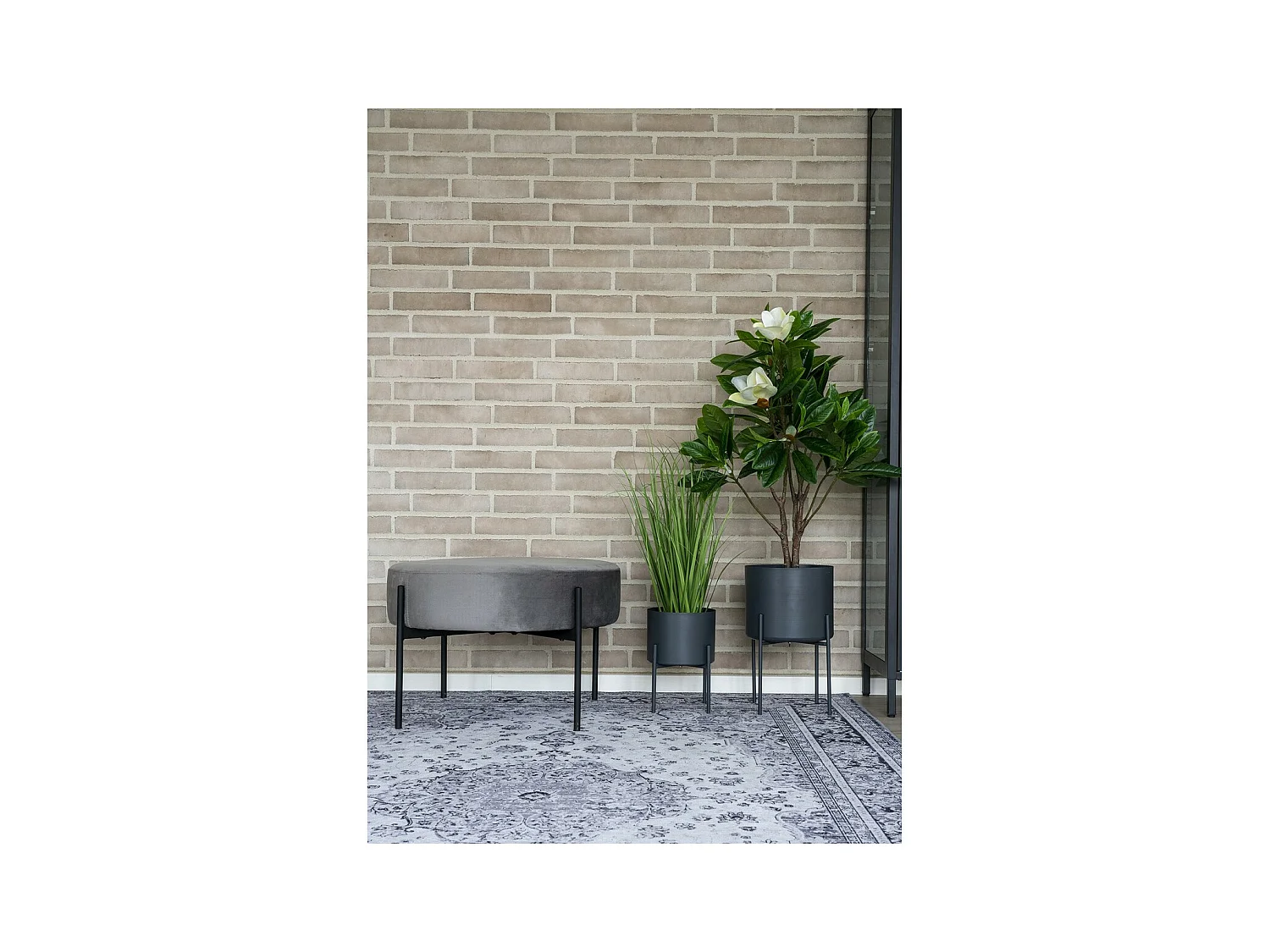 Tapis de Salon Rectangulaire Havana, Gris, 230x160x1 cm, EPIKASA