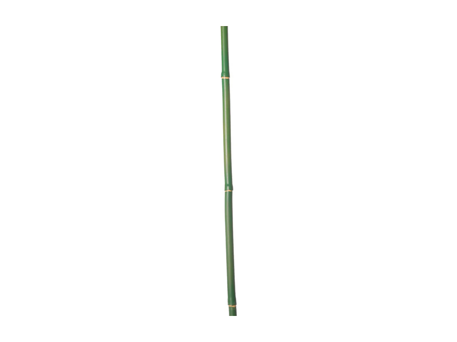 Branche de Bambou - Vert / 101 cm