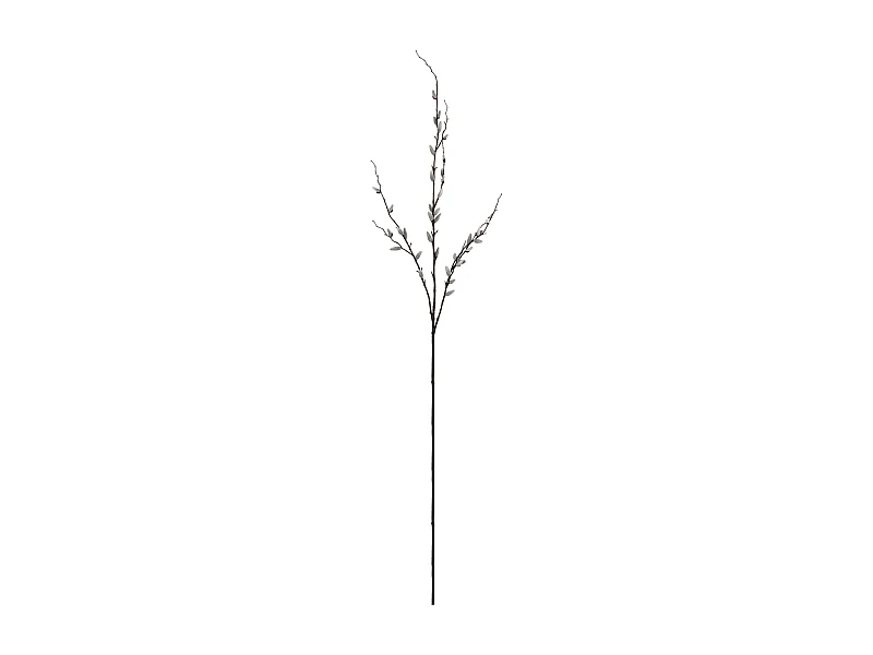 Branche de Saule - Crème