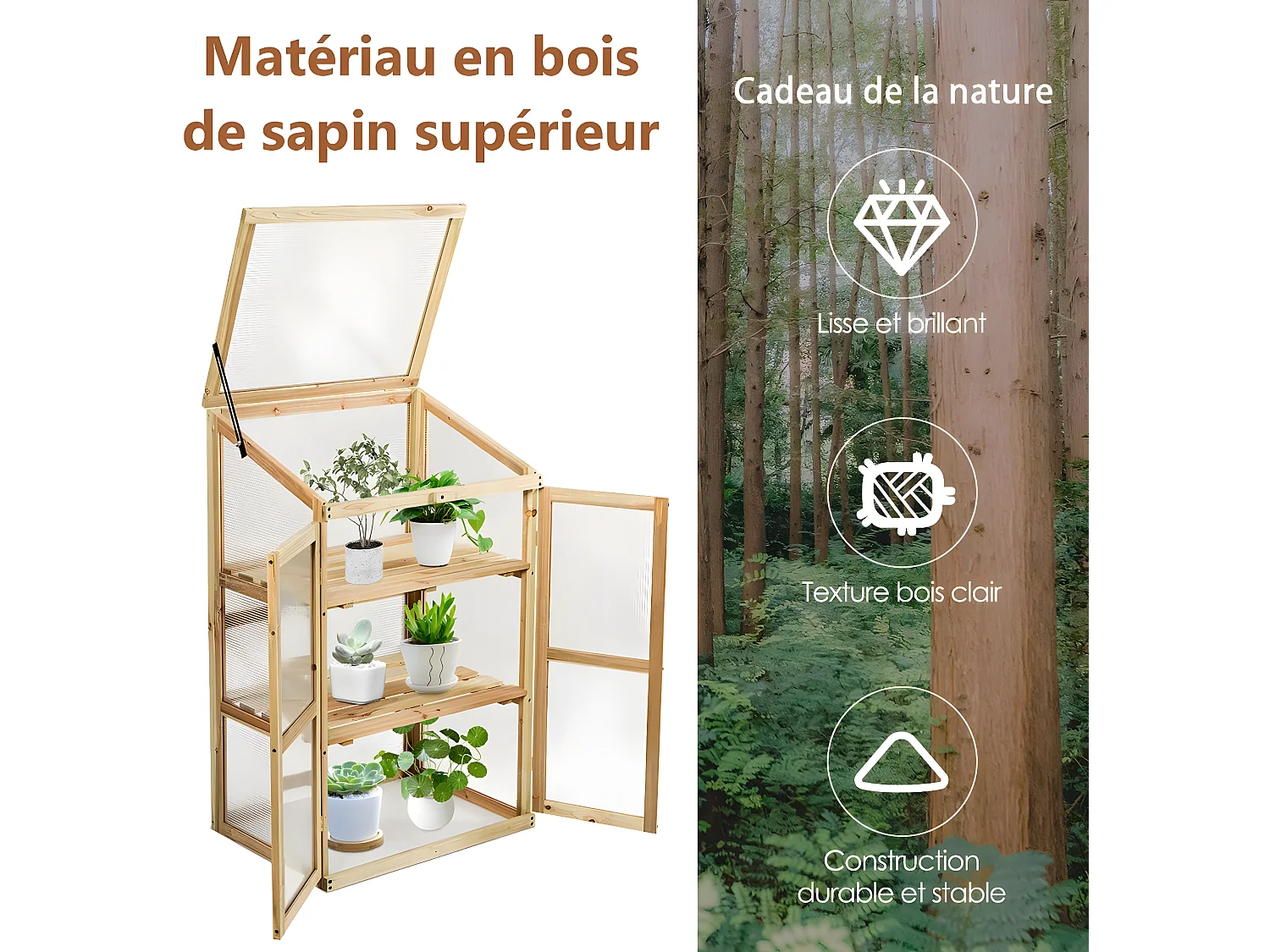 Mini Serre de Jardin 60x45x100CM Vitrages Transparents en Polycarbonate avec Etagères à 3 Niveaux pour Jardin/Balcon/Porche