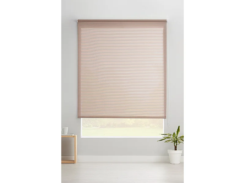 ESTORALIS | Estores Enrollables Translucidos  | 150 x 195 cm (Ancho por Alto) Tamaño de Tela 147 x 190 cm | Modelo ROBERT Color Taupe