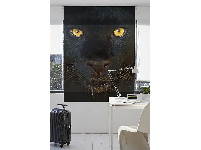 ESTORALIS | Estores Personalizados ANIMALES | 150 x 180 cm (Ancho por Alto) Tamaño de Tela 147 x 175 cm | Modelo A-124 Color Unico