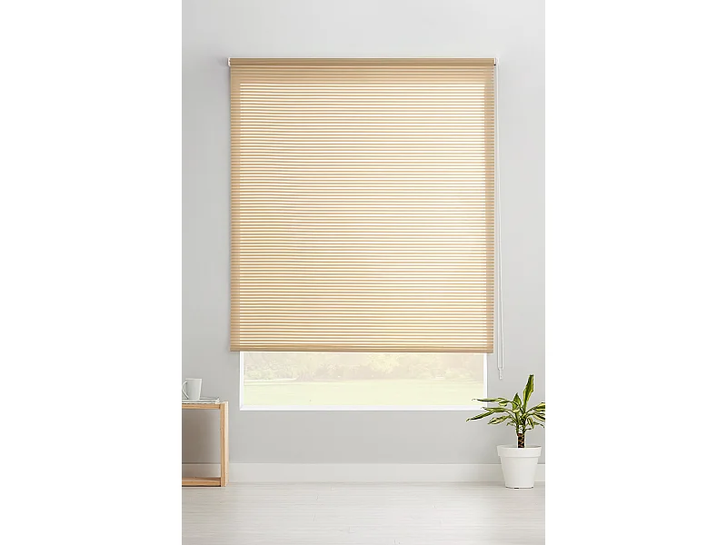 ESTORALIS | Estores Enrollables Translucidos  | 150 x 195 cm (Ancho por Alto) Tamaño de Tela 147 x 190 cm | Modelo ROBERT Color Turron