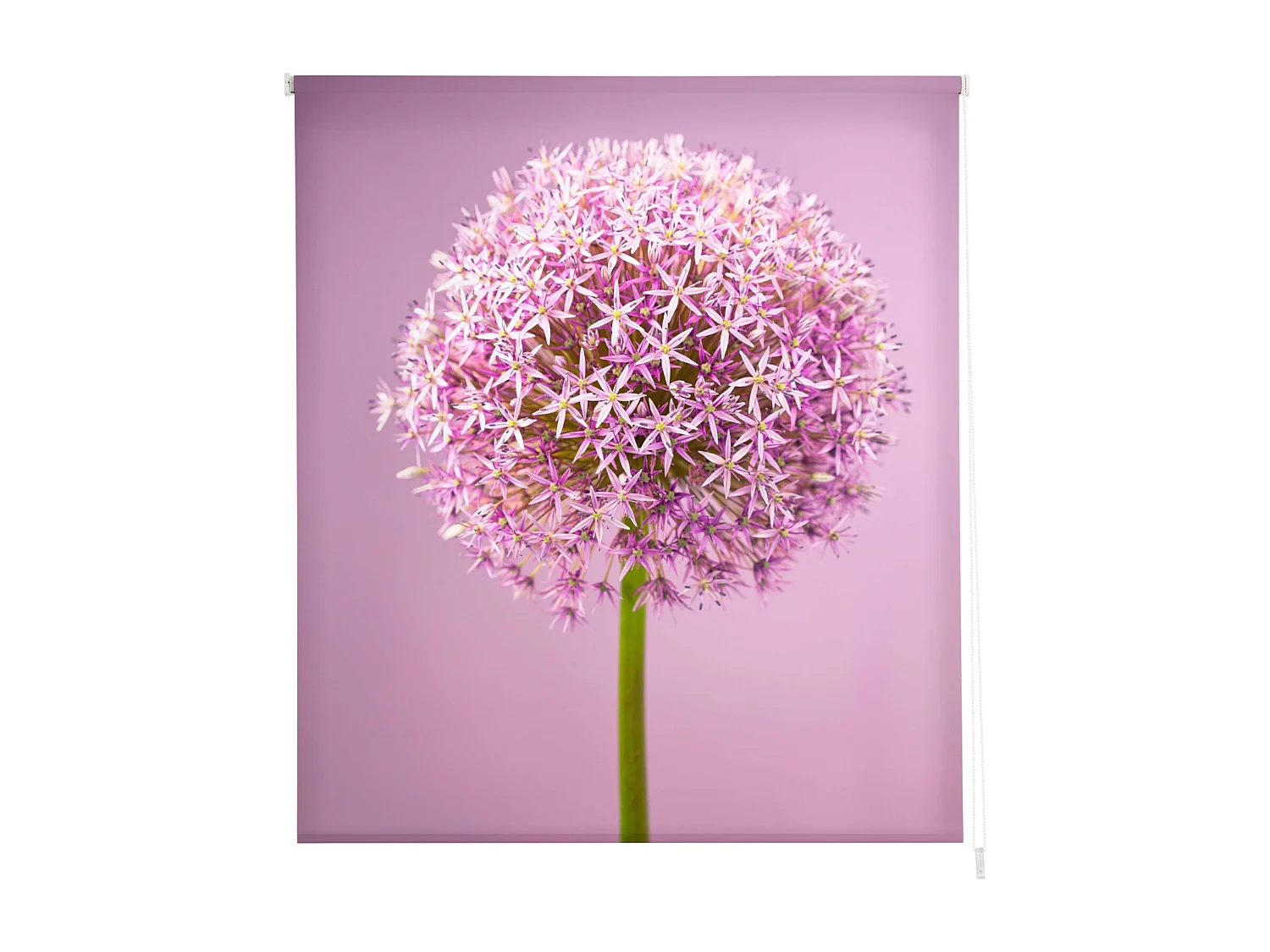 ESTORALIS | Estores Personalizados FLORES y PLANTAS  | 130 x 255 cm (Ancho por Alto) Tamaño de Tela 127 x 250 cm | Modelo F-834 Color Unico