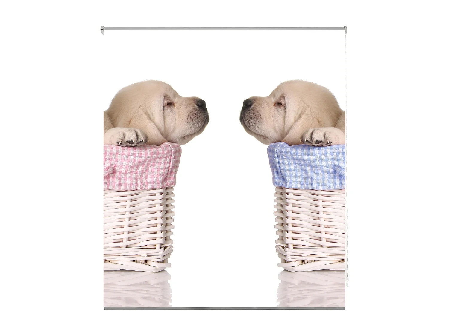 ESTORALIS | Estores Personalizados ANIMALES | 110 x 255 cm (Ancho por Alto) Tamaño de Tela 107 x 250 cm | Modelo A-1063 Color Unico