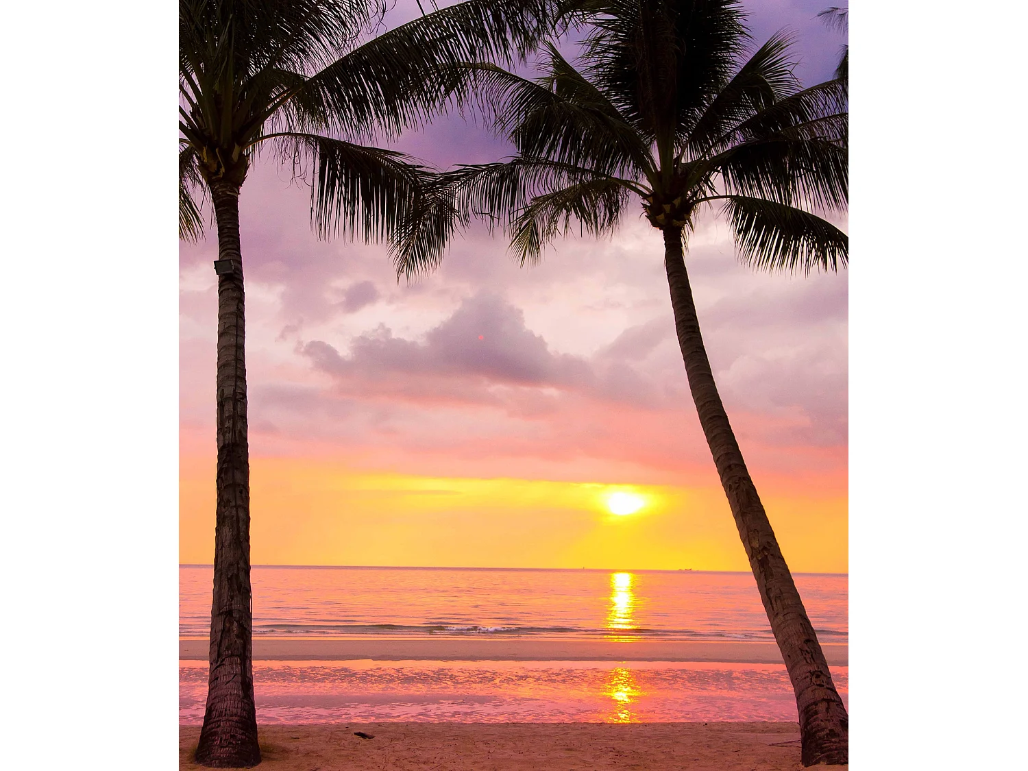 ESTORALIS | Estores Personalizados PAISAJES | 150 x 180 cm (Ancho por Alto) Tamaño de Tela 147 x 175 cm | Modelo P-3051 Color Unico