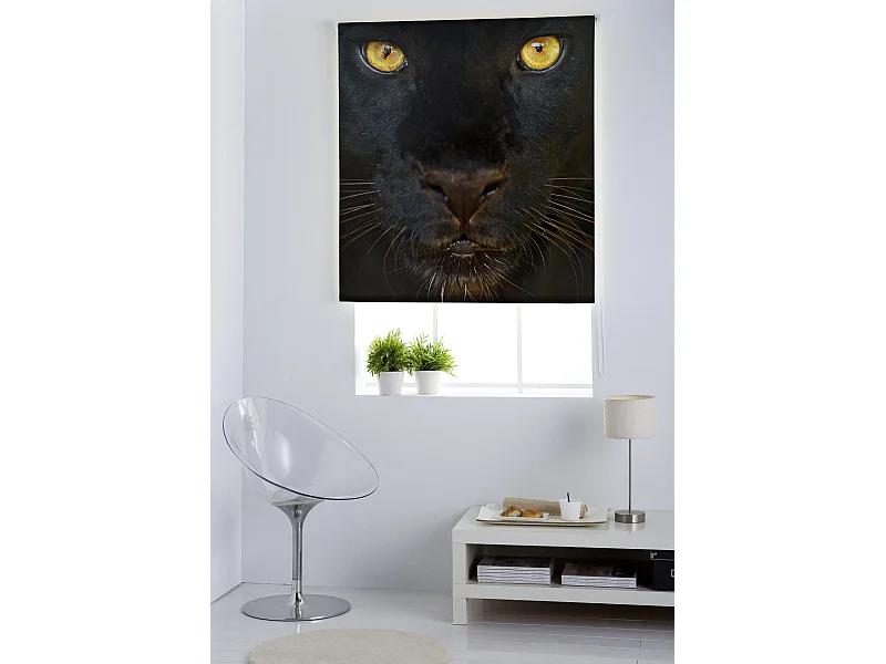 ESTORALIS | Estores Personalizados Easyfix ANIMALES  | 95 x 150 cm (Ancho por Alto) Tamaño de Tela 92 x 150 cm | Modelo A-124 Color Unico