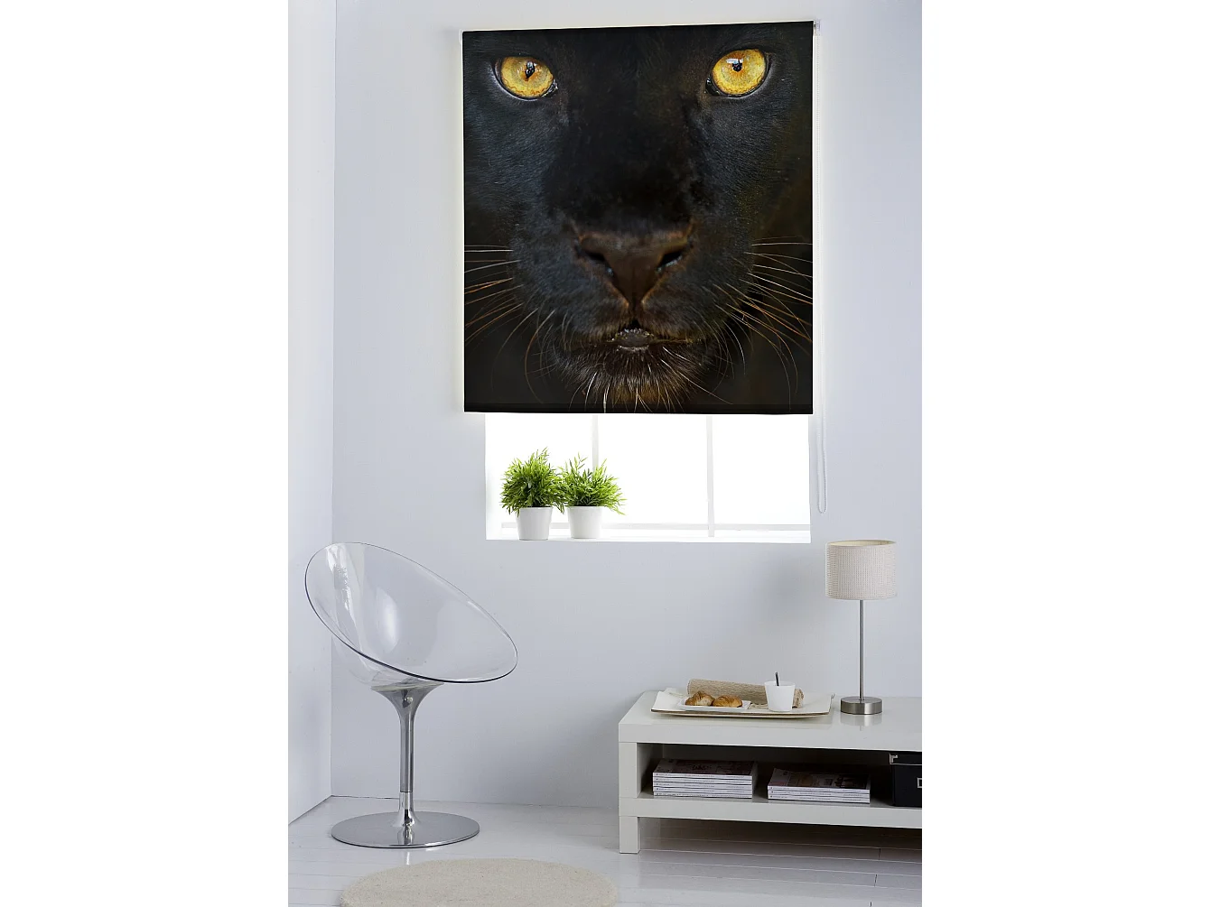 ESTORALIS | Estores Personalizados Easyfix ANIMALES  | 120 x 150 cm (Ancho por Alto) Tamaño de Tela 117 x 150 cm | Modelo A-124 Color Unico