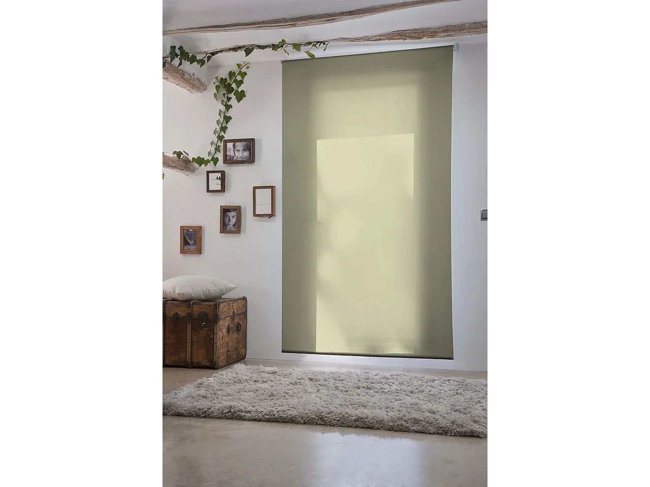 ESTORALIS | Estores Enrollables Lisos Translucidos | 160 x 235 cm (Ancho por Alto) Tamaño de Tela 157 x 230 cm | Modelo GOVE Color Manzana