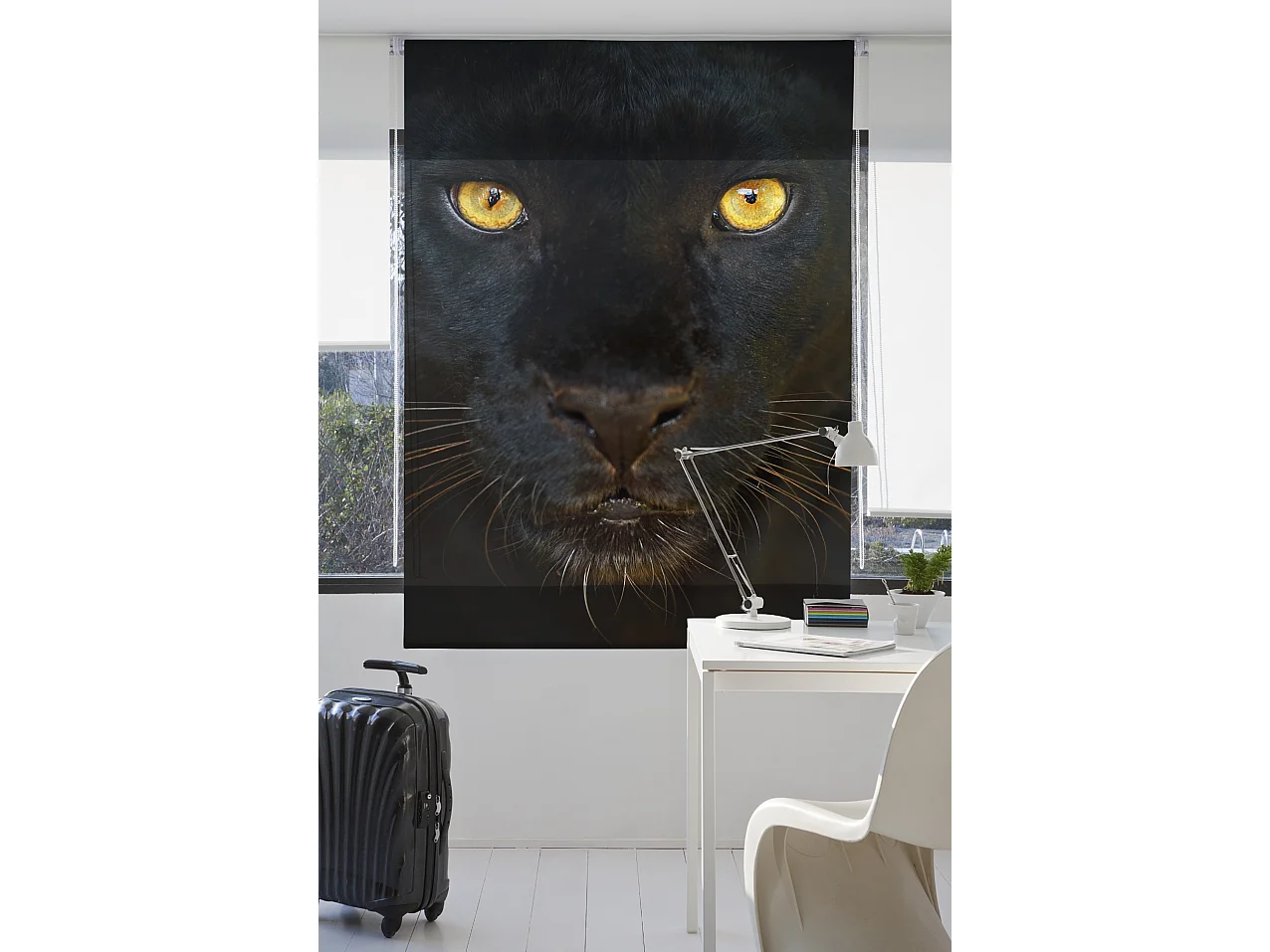 ESTORALIS | Estores Personalizados Easyfix ANIMALES  | 105 x 150 cm (Ancho por Alto) Tamaño de Tela 102 x 150 cm | Modelo A-124 Color Unico