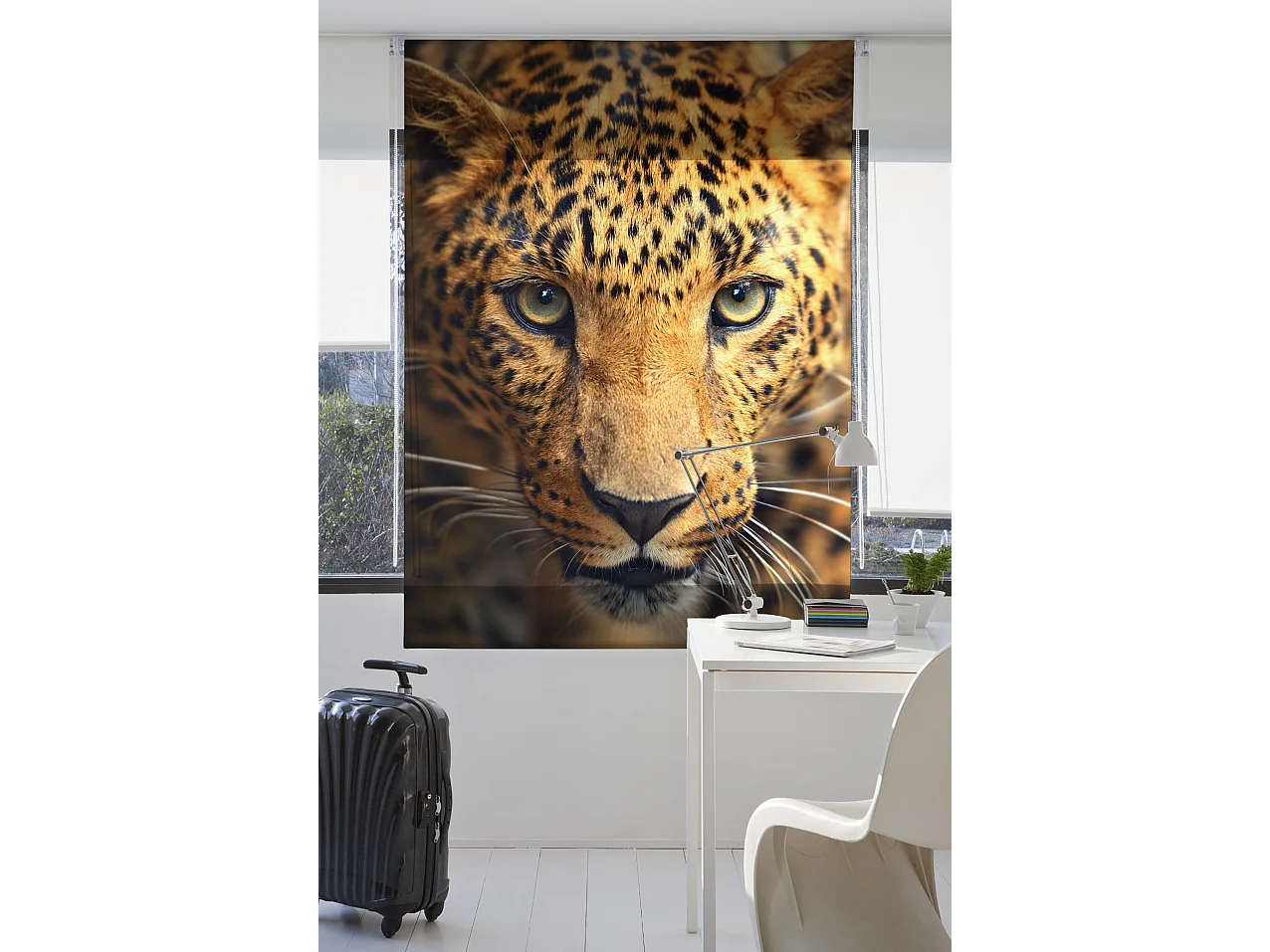 ESTORALIS | Estores Personalizados ANIMALES | 110 x 180 cm (Ancho por Alto) Tamaño de Tela 107 x 175 cm | Modelo A-122 Color Unico