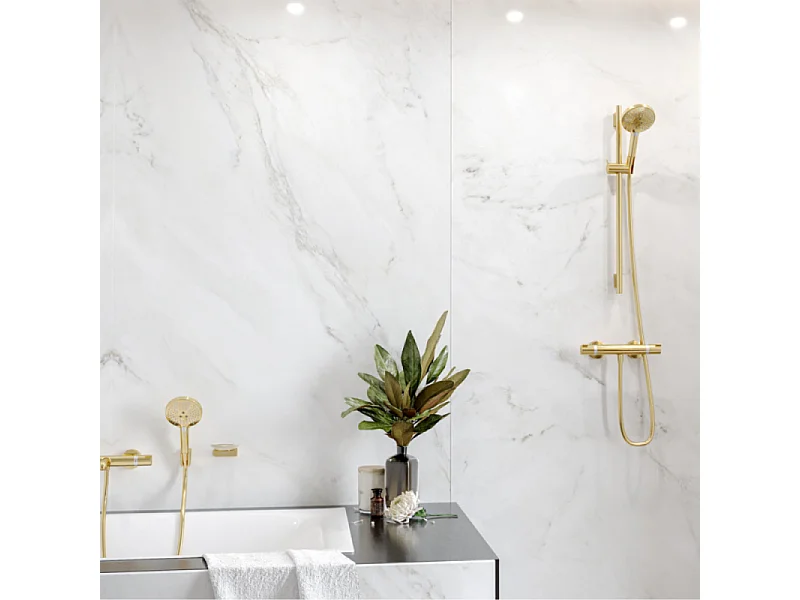 Pommeau de douche HANSGROHE Raindance Select S EcoSmart 120 3 jets + flexible HANSGROHE Designflex 200 cm aspect doré poli