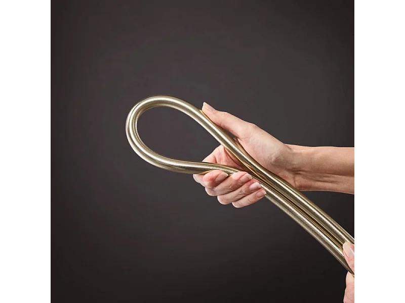 Pommeau de douche HANSGROHE Pulsify E 100 EcoSmart bronze brossé + flexible de douche 1,60 m HANSGROHE Isiflex bronze brossé