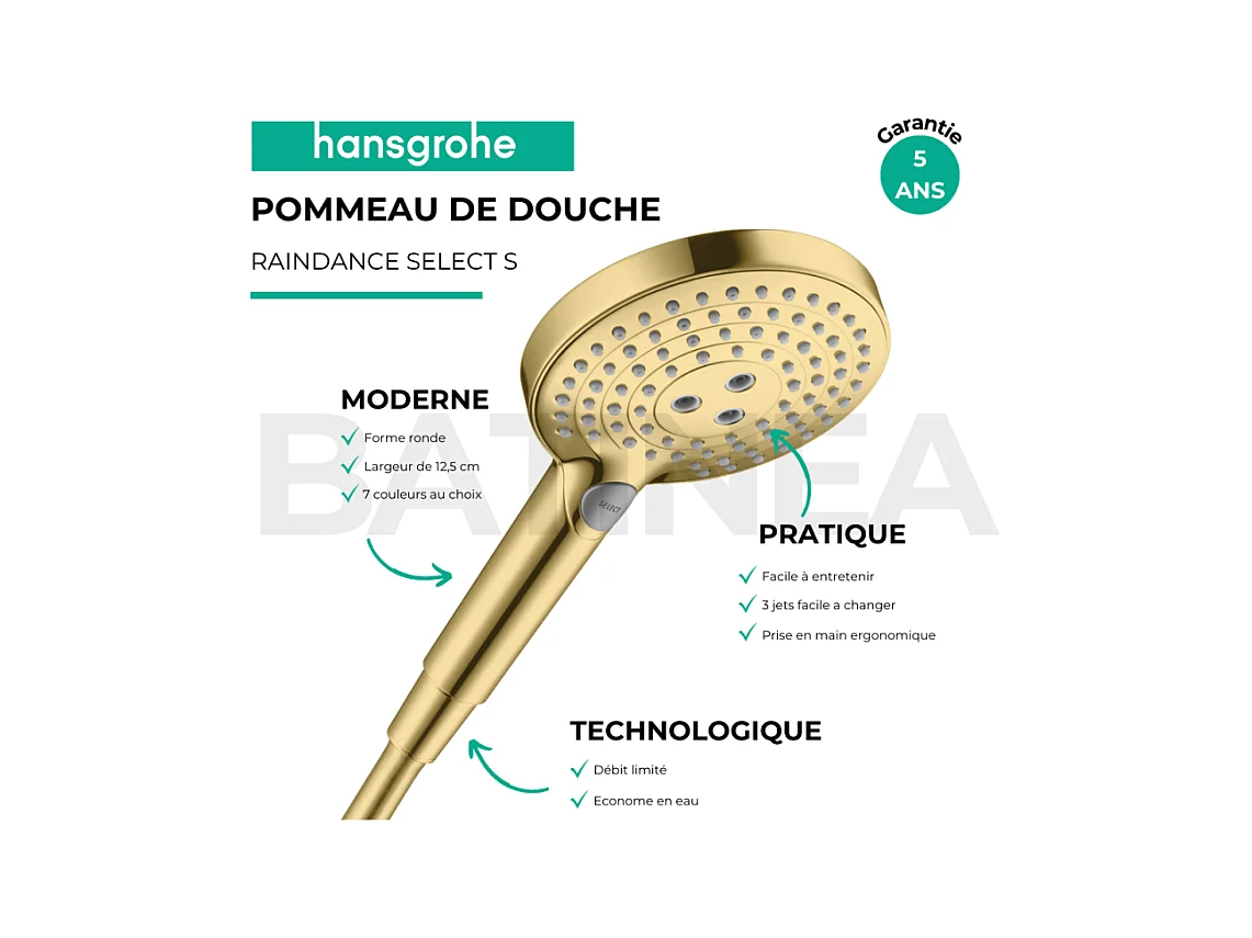 Pommeau de douche HANSGROHE Raindance Select S EcoSmart 120 3 jets + flexible HANSGROHE Designflex 160 cm doré poli