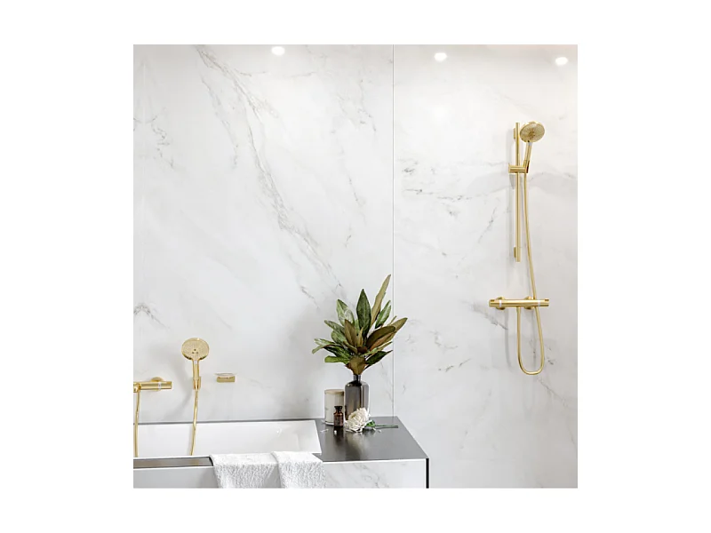 Pommeau de douche HANSGROHE Raindance Select S EcoSmart 120 3 jets + flexible HANSGROHE Designflex 160 cm doré poli