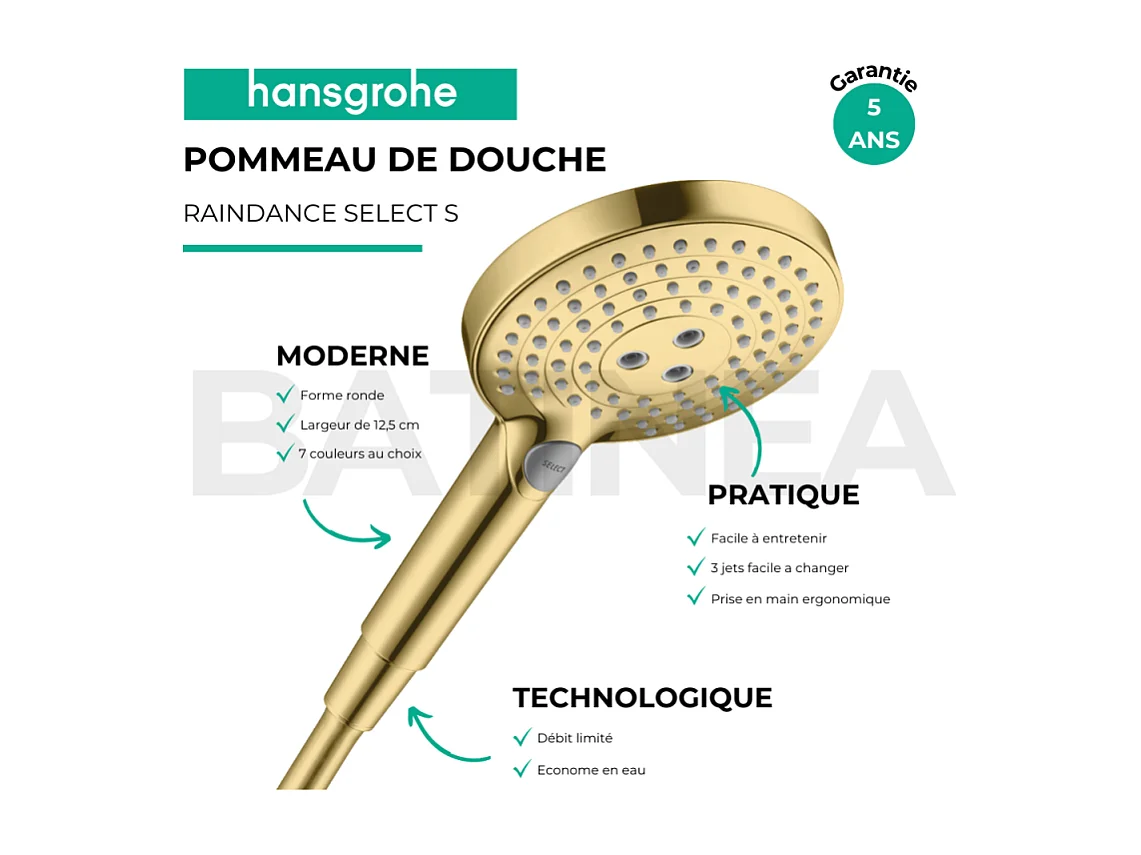 Pommeau de douche HANSGROHE Raindance Select S EcoSmart 120 3 jets + flexible HANSGROHE Designflex 160 cm doré poli