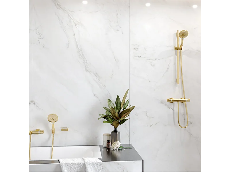 Pommeau de douche HANSGROHE Raindance Select S EcoSmart 120 3 jets + flexible HANSGROHE Designflex 160 cm doré poli