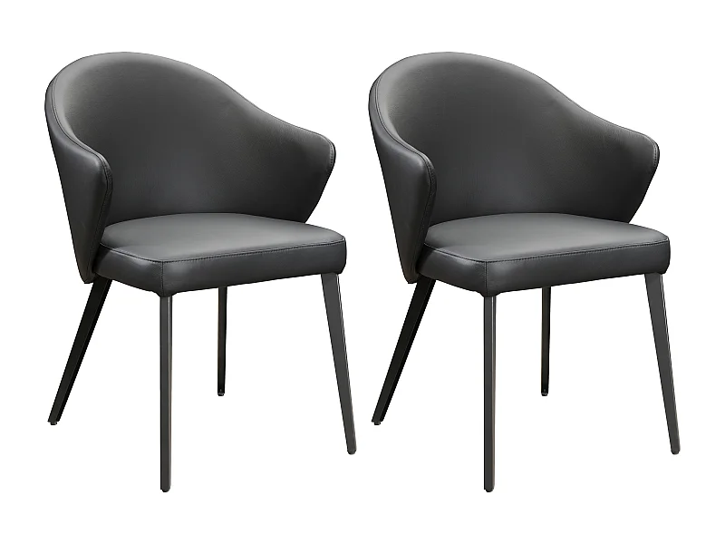 Lot de 2 chaises avec accoudoirs en cuir et acier - Noir - MIBELLY de Maison Céphy