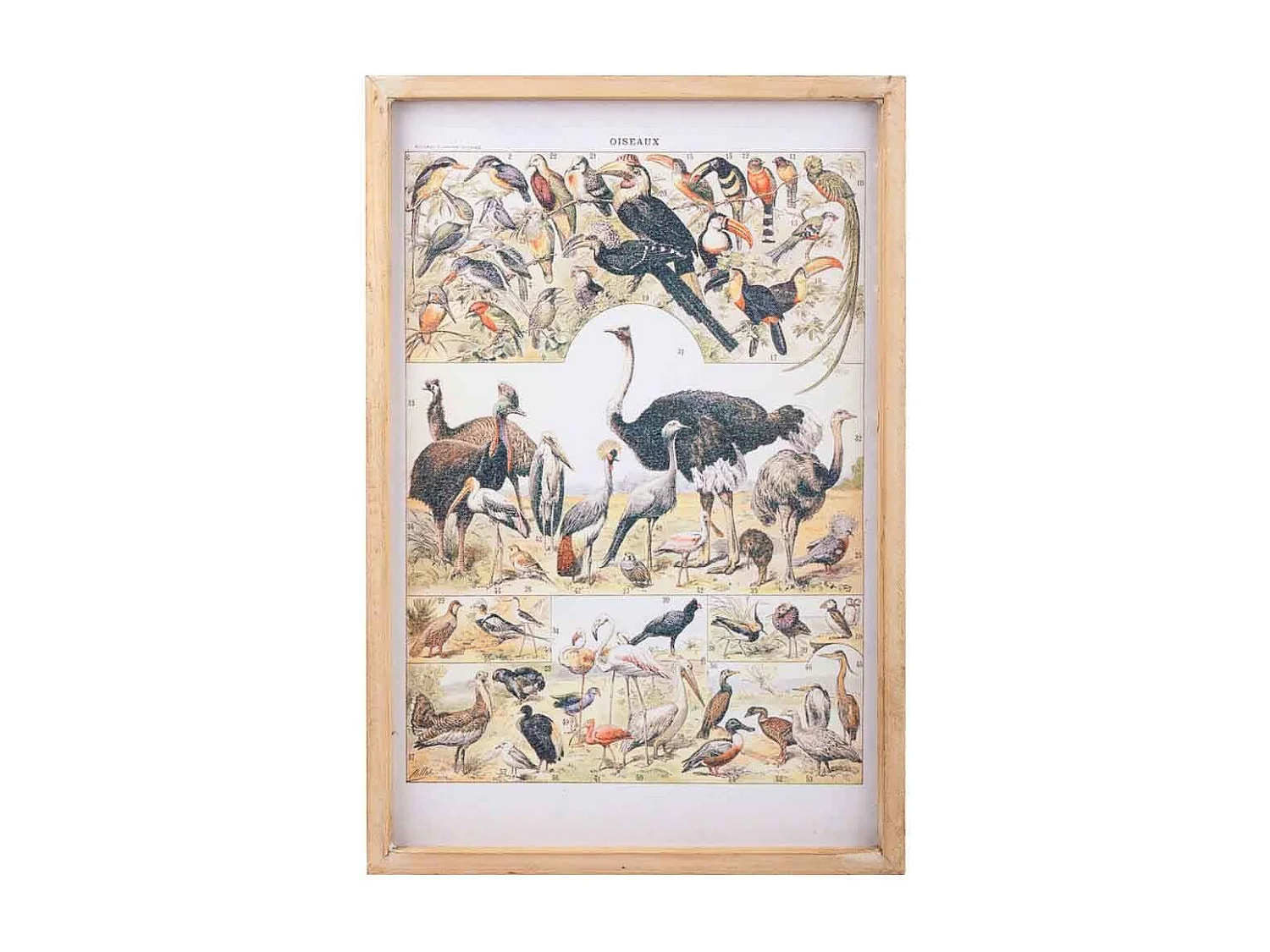 Bedrucktes Stoffgemälde mit Holzrahmen 40x60x2h cm