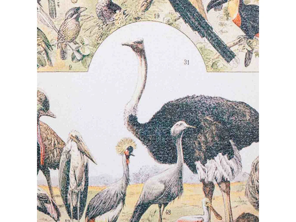 Bedrucktes Stoffgemälde mit Holzrahmen 40x60x2h cm