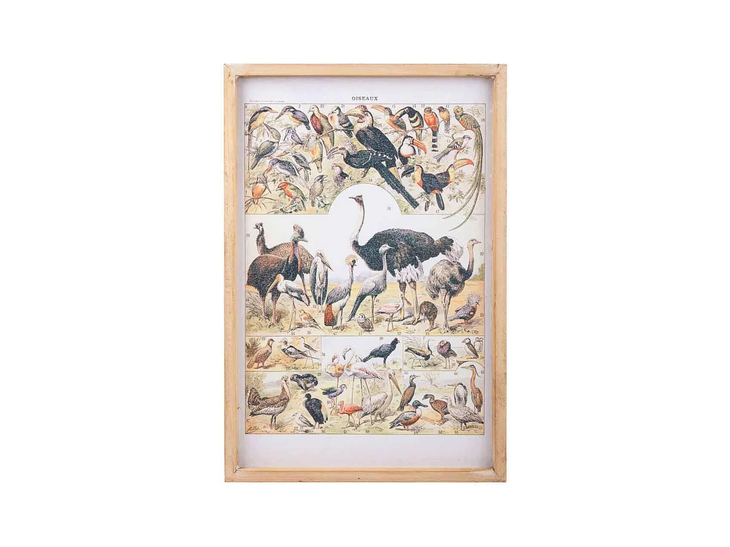 Tableau toile imprimée avec cadre en bois 40x60x2h