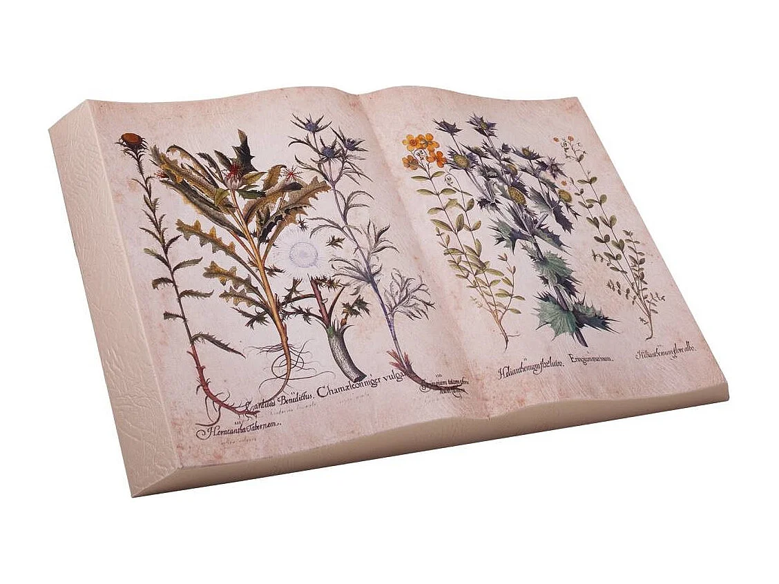 Livre de décoration imprimé 45x28x4,5h cm