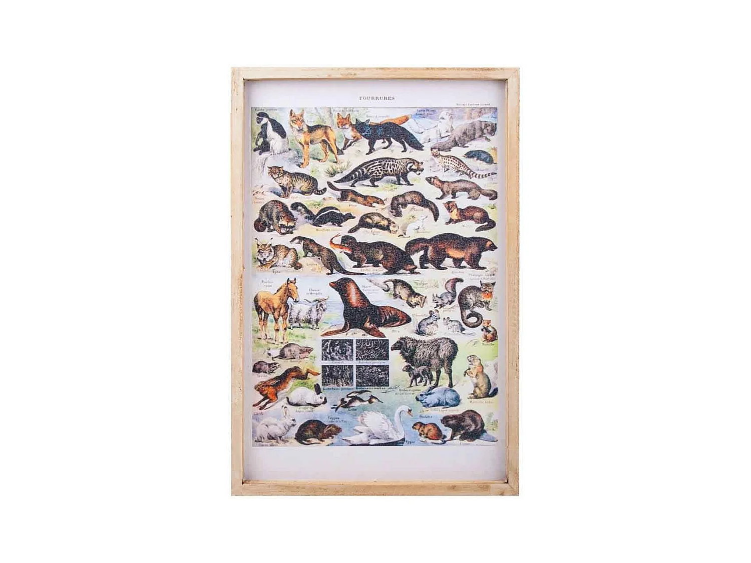 Tableau toile imprimée avec cadre en bois 40x60x2h