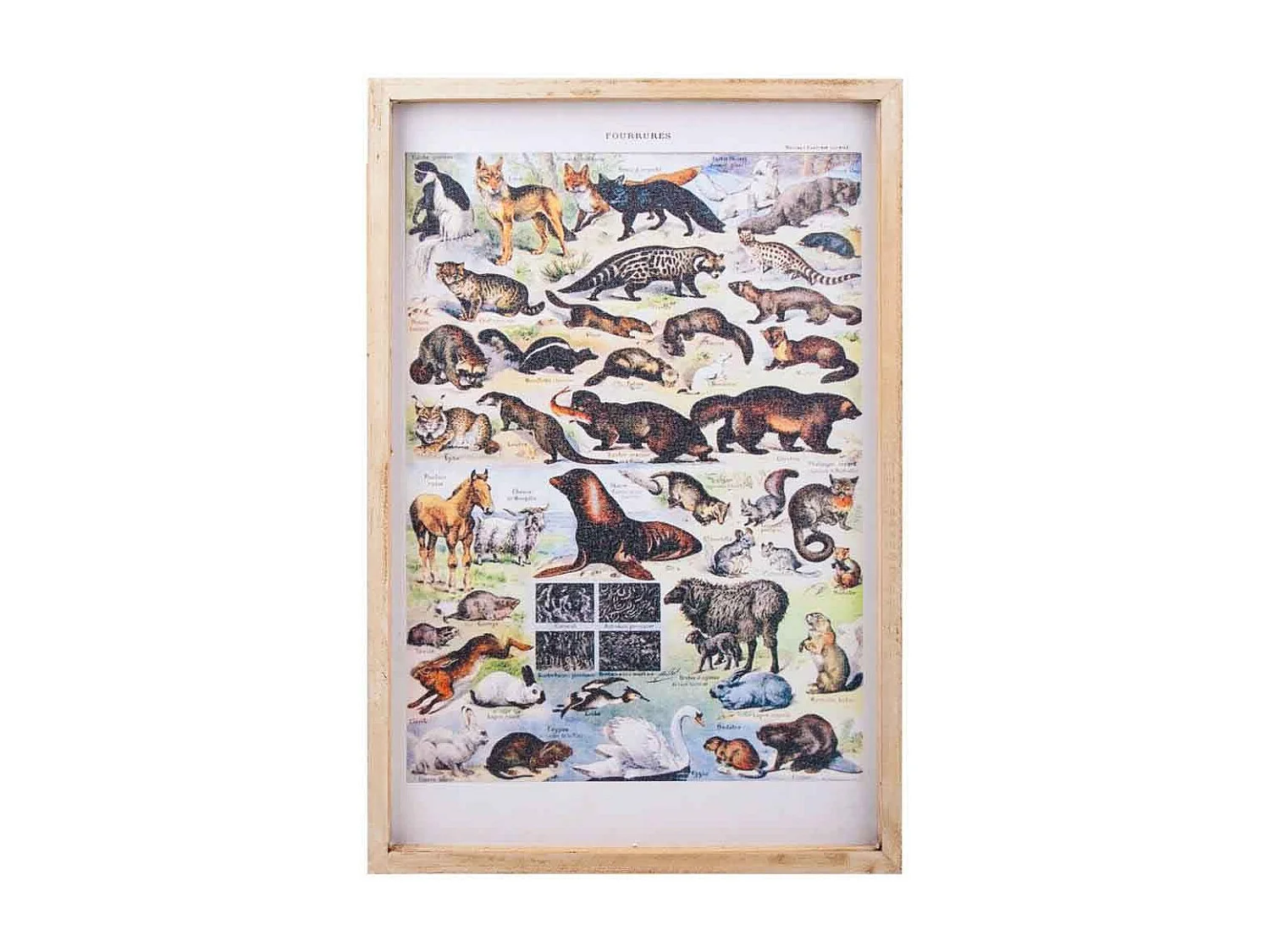 Pintura em tecido estampado com moldura de madeira 40x60x2