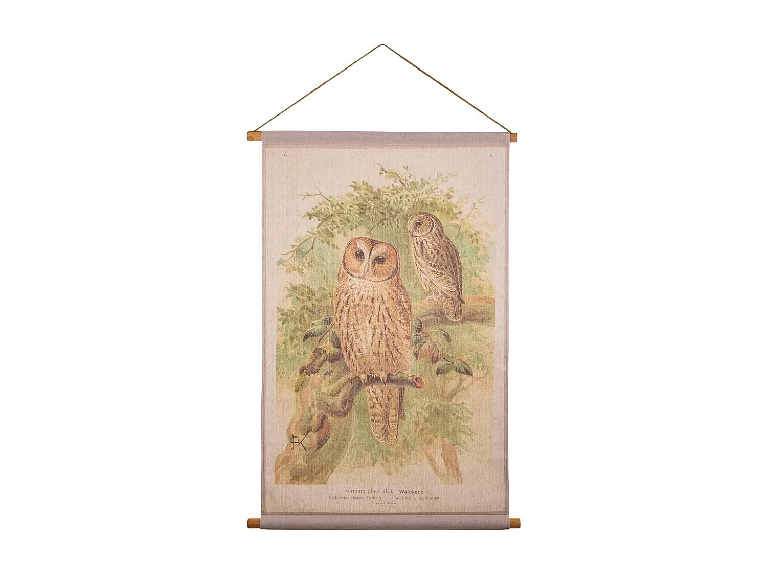 Toile parchemin imprimée sur tissu 65x95x2,5h