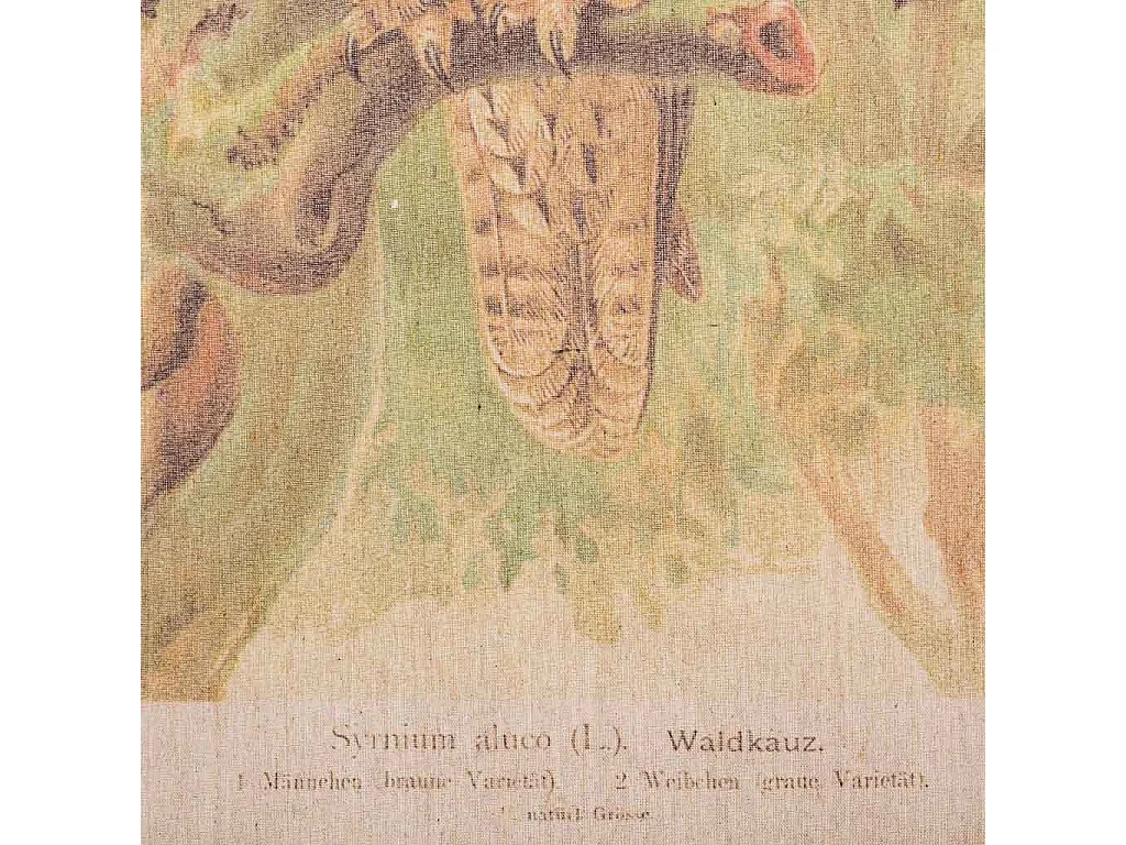 Bedruckte Pergamentleinwand aus Stoff, 65 x 95 x 2,5 cm